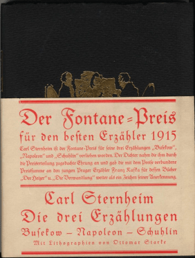 Fontanepreis Sternheim