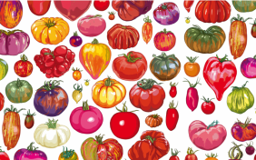 Tomatensalat von Kat Menschik