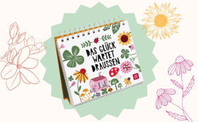 Magazinbeitrag Produktbeispiel