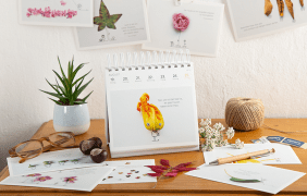 Postkartenkalender im Ambiente
