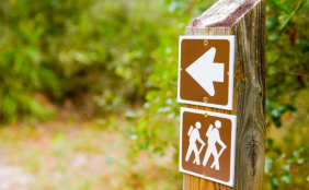 Schild zum Wanderweg im Wald
