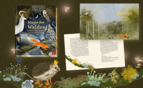 Cover, Innenseiten und Illustrationen vom Buch "Magie des Waldes"
