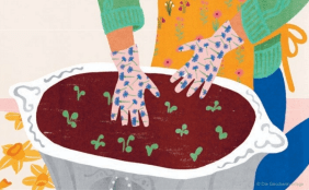 Illustration von einer Person, die etwas in einem Hochbeet anpflanzt