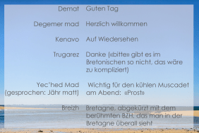 Vokabeln