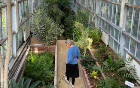 Der botanische Garten in Istanbul: Sandra Lüpkes in einem der Gewächshäuser