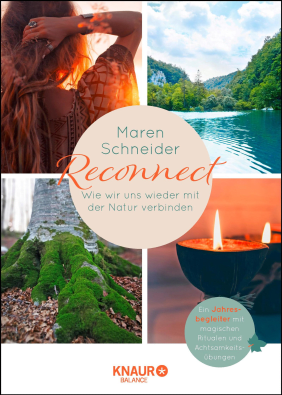 Schneider - Reconnect