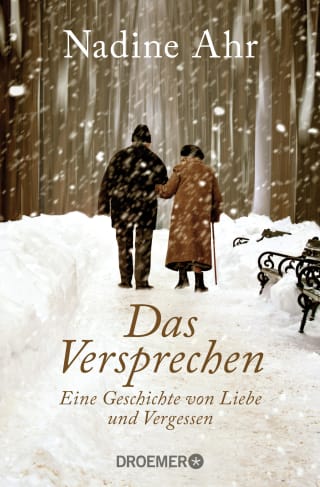 Cover Download Das Versprechen