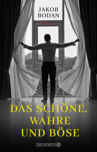 Cover Download Das Schöne, Wahre und Böse