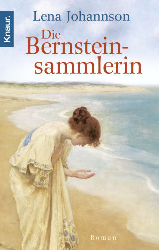 Cover Download Die Bernsteinsammlerin