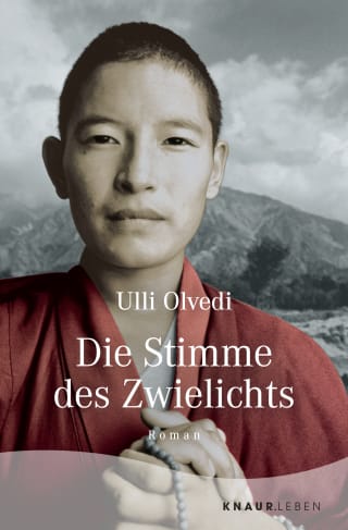 Cover Download Die Stimme des Zwielichts