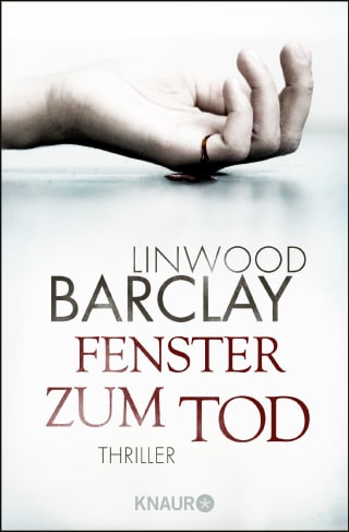 Cover Download Fenster zum Tod