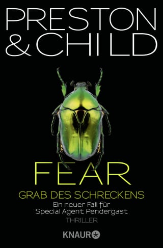 Cover Download Fear - Grab des Schreckens