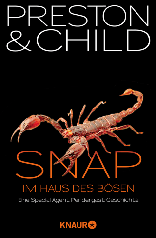 Cover Download Snap - Im Haus des Bösen