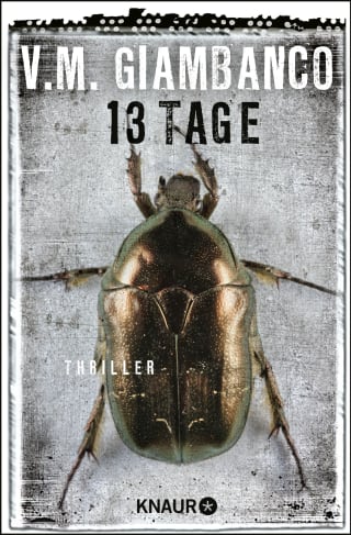 Cover Download Dreizehn Tage