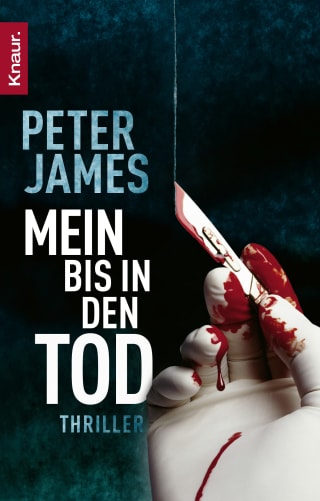 Cover Download Mein bis in den Tod