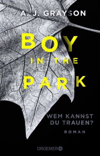 Cover Download Boy in the Park – Wem kannst du trauen?