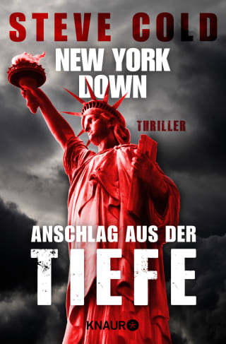 New York down - Anschlag aus der Tiefe