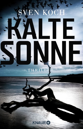 Cover Download Kalte Sonne