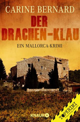 Cover Download Der Drachen-Klau