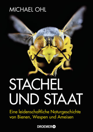 Cover Download Stachel und Staat