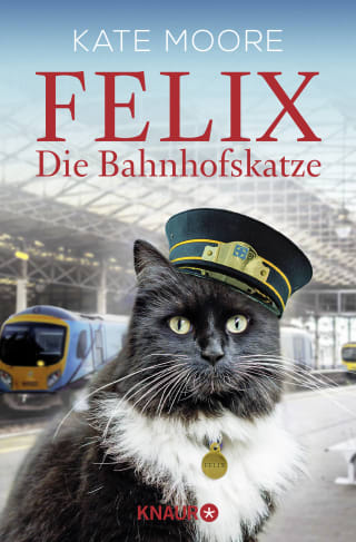Cover Download Felix - Die Bahnhofskatze
