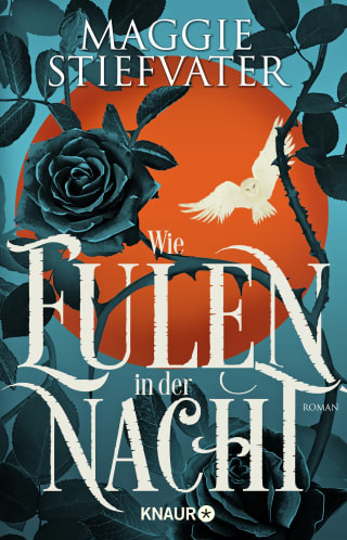 Cover Download Wie Eulen in der Nacht