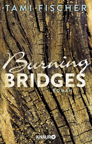 Cover Download Burning Bridges