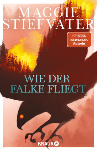 Cover Download Wie der Falke fliegt