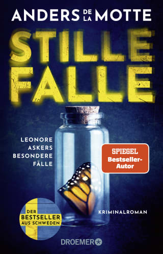 Cover Download Stille Falle