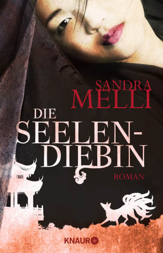 Cover Download Die Seelendiebin