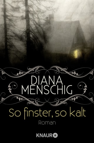 Cover Download So finster, so kalt
