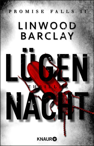 Cover Download Lügennacht