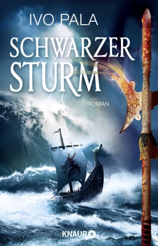 Cover Download Schwarzer Sturm