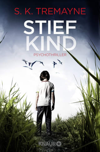 Cover Download Stiefkind