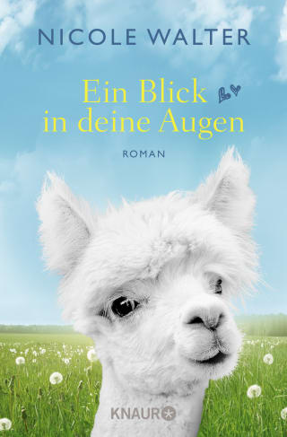 Cover Download Ein Blick in deine Augen