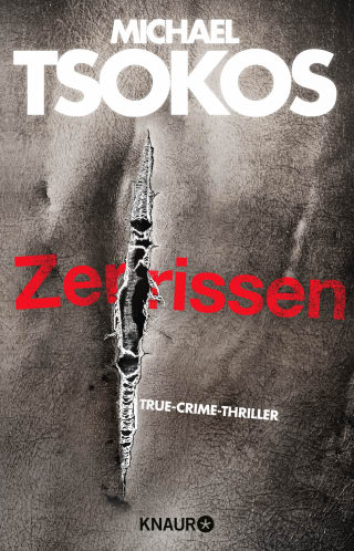 Cover Download Zerrissen