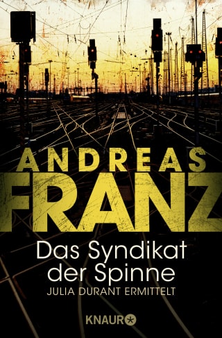 Cover Download Das Syndikat der Spinne