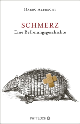 Cover Download Schmerz