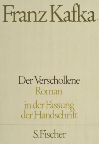 Cover Download Der Verschollene
