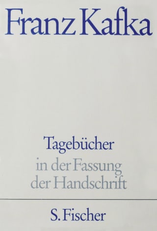 Cover Download Tagebücher, Kommentar