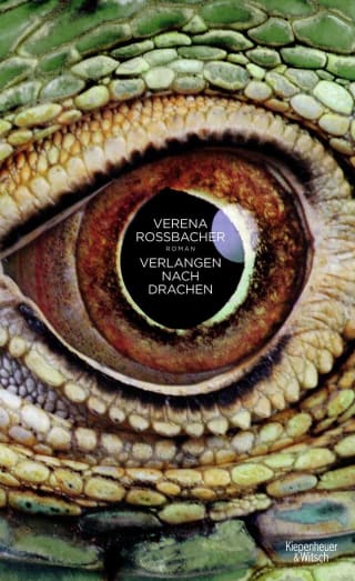 Cover Download Verlangen nach Drachen