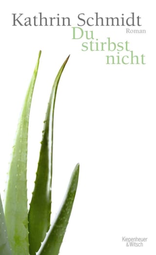 Cover Download Du stirbst nicht