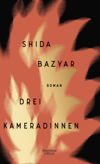 Cover Download Drei Kameradinnen