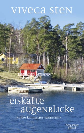 Cover Download Eiskalte Augenblicke