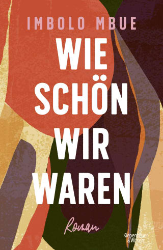 Cover Download Wie schön wir waren