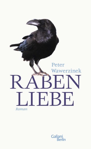 Cover Download Rabenliebe