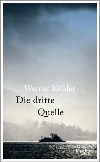 Cover Download Die dritte Quelle