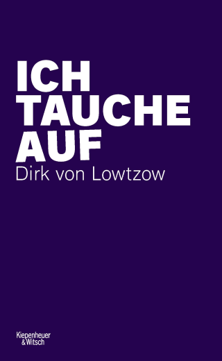 Cover Download Ich tauche auf