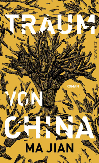 Cover Download Traum von China