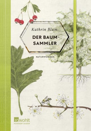 Cover Download Der Baumsammler